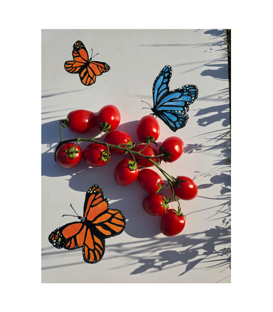 Jumbo Sticker - "Butterflies and Cherry Tomatoes"